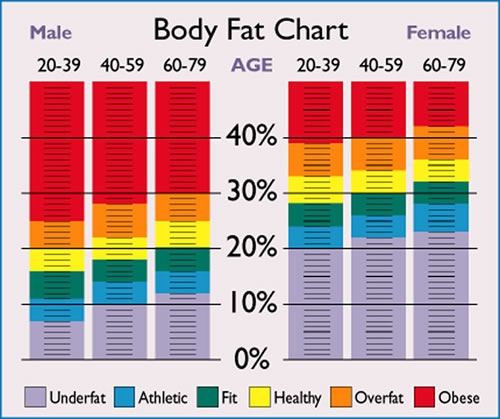 Lowest+healthy+body+fat+for+women